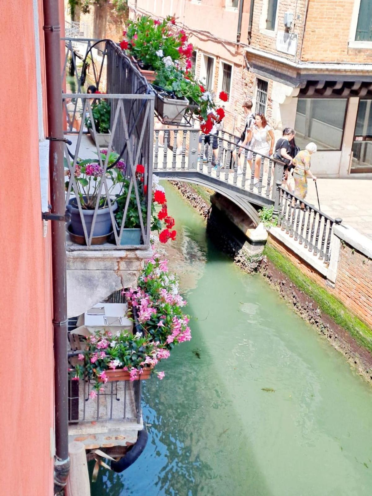 The Doge Apartamento